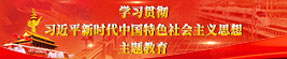 专题专栏